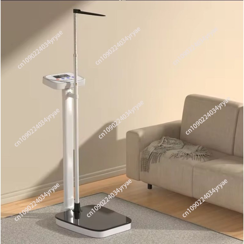 Bilancia intelligente con conn - Digital Body Weight Scale recensione e prezzo