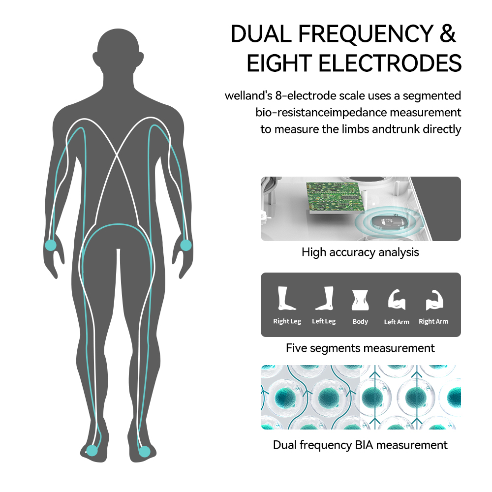 Bilancia per il peso corporeo  - Digital Body Weight Scale recensione e prezzo